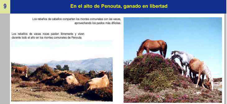 Imagen de la guía