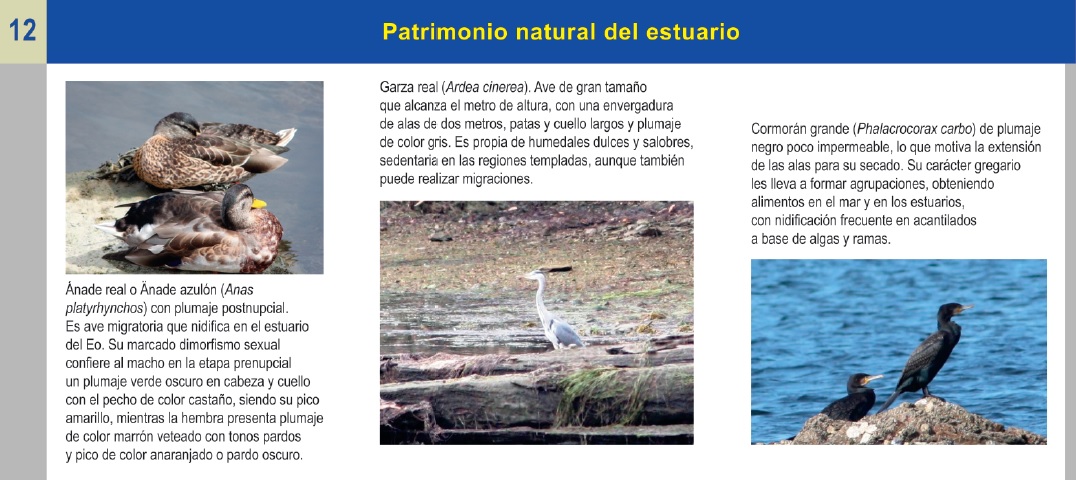Imagen de una de las páginas de la guía (patrimonio natural)